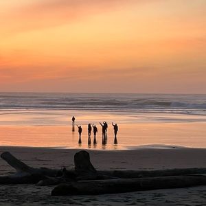 Meet your Posher, Annie